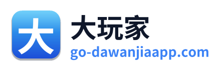 大玩家